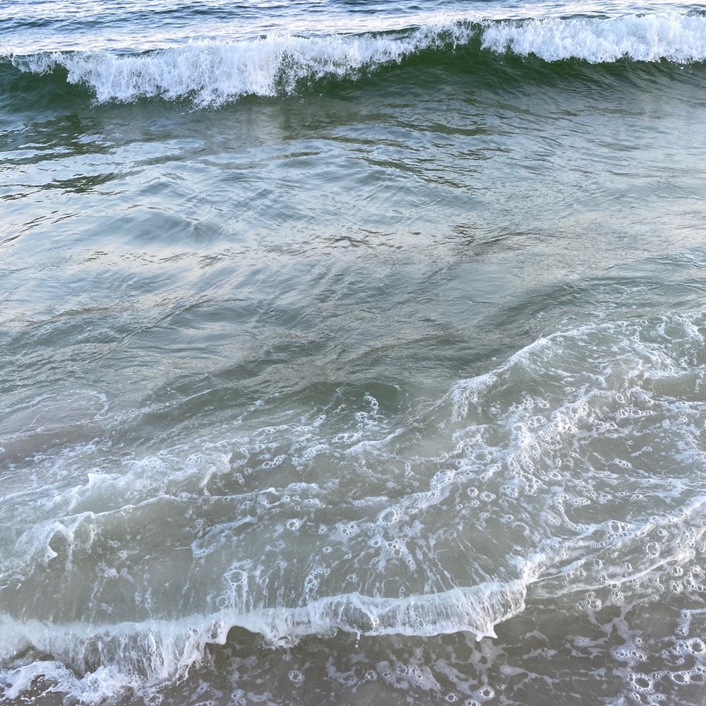 Meet your Posher, Candace